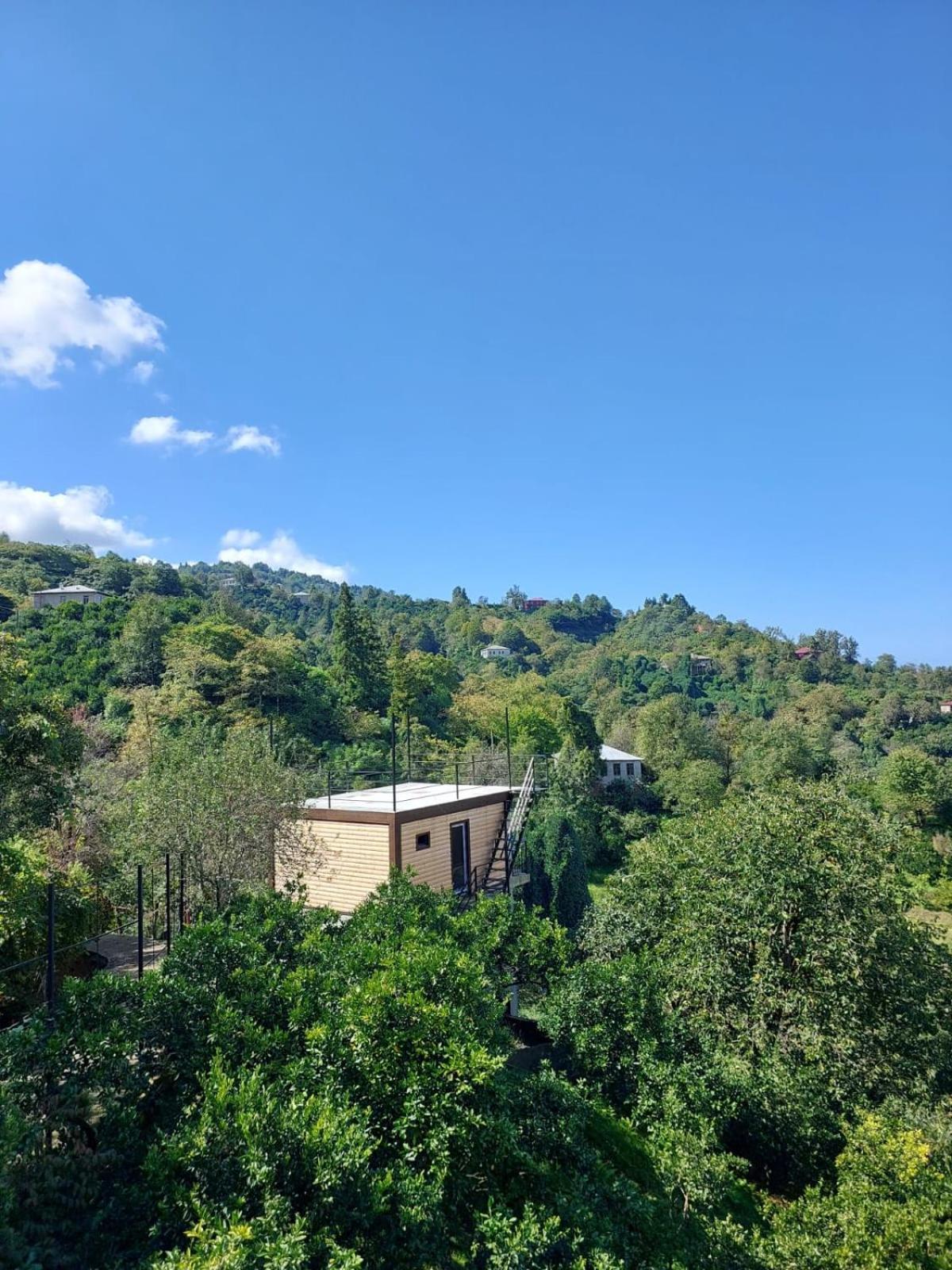 Mtirala House Hotel Khala Cameră foto